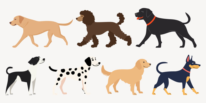 Illustrated diverse dog breeds collection vector elements