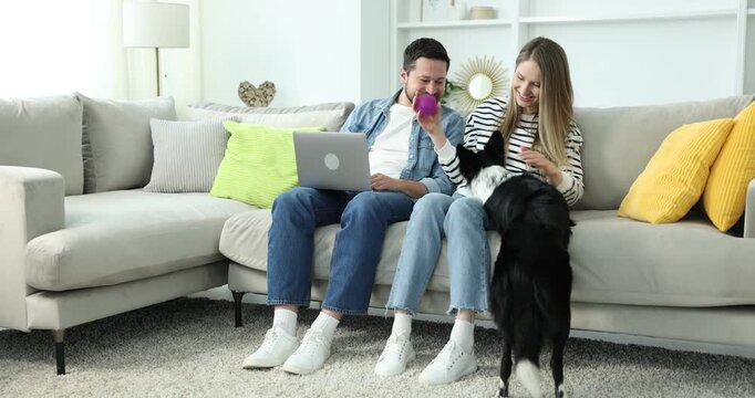 Man working on laptop and his girlfriend playing with dog at home