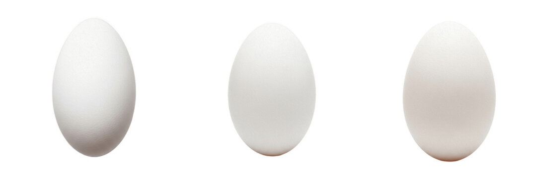 Set of single clean white egg oval shape raw organic food ingredient for breakfast cooking baking healthy diet isolated on transparent background, png.