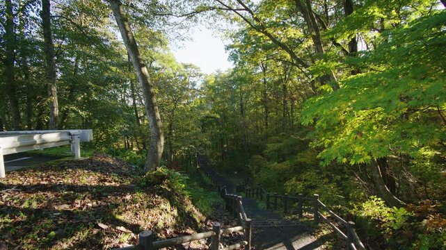紅葉の名所 秋の鳴子峡の風景　Autumn scenery of Naruko Gorge, a famous spot for autumn foliage.