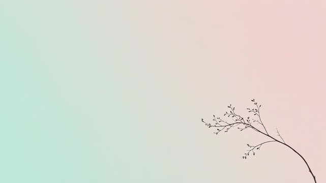 Minimalist delicate dried plant silhouette with soft pastel gradient background for modern decor