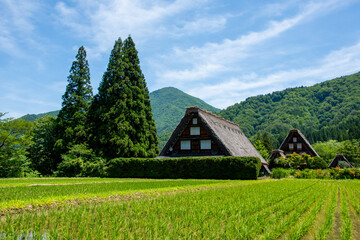 世界遺産　白川郷合掌造り集落　初夏 © Hiro074