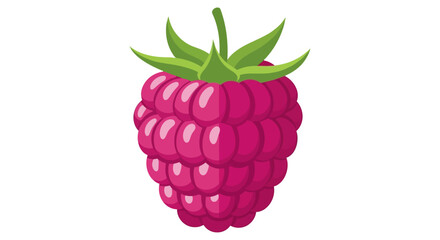 Raspberry fruit illustration, healthy food concept, berry background © Perth