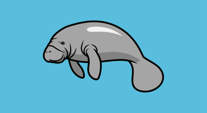 Gray manatee illustration on light blue background.