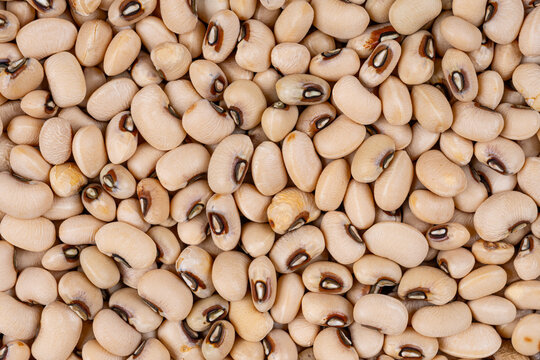 Full frame macro texture of raw black eyed beans creating a beige background