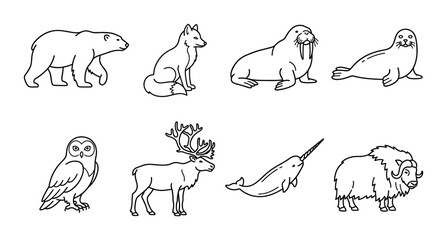 Arctic animals linear icon set polar bear fox walrus seal owl reindeer narwhal musk ox, UI and web interface design © Bundleprohub