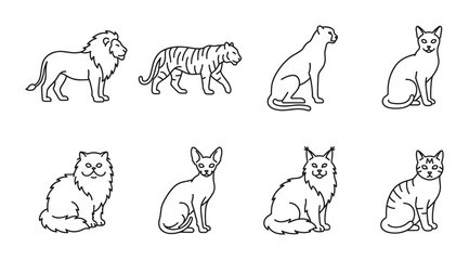 8 Big and Small Cats linear icon set lion tiger cheetah domestic cats, UI and web interface design © Bundleprohub