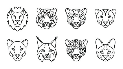 8 Big Cat linear icon set lion tiger jaguar cheetah cougar lynx wild animals, UI and web interface design © Bundleprohub