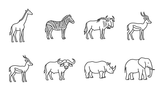 8 African Animals linear icon set giraffe zebra wildebeest antelope rhino elephant, UI and web interface design