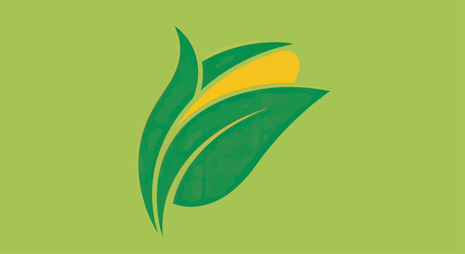 Green corn cob icon with leaves.
