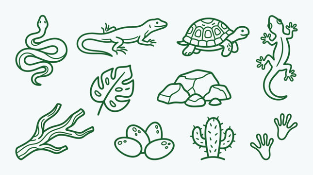Collection of hand-drawn reptile and desert elements, including a snake, lizards, turtle, eggs, cactus, and branches.