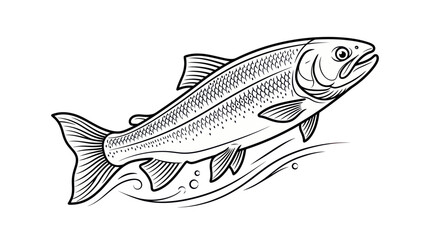 Line Art Salmon Fish Jumping Out of Water © Yaskur