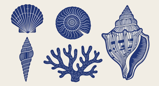 Oceanic Shells, Sea Shells, Coastal Decor, Nautical Elements, Blue Vector Icons