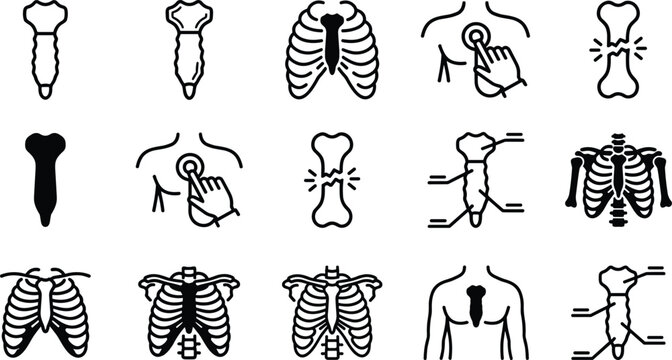 Sternum bone icons with rib cage and skeletal torso diagrams during medical concept illustration