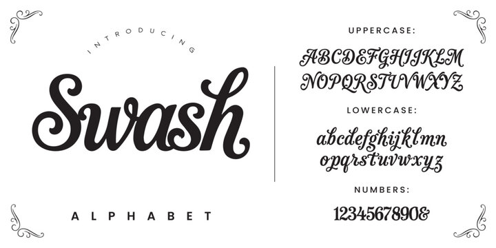Swash Modern Calligraphy Script Font for Elegant Wedding Invitation and Feminine Branding