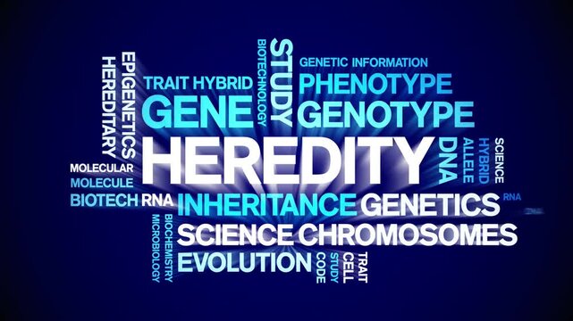 Heredity animated word cloud-text design animation tag kinetic typography seamless loop.