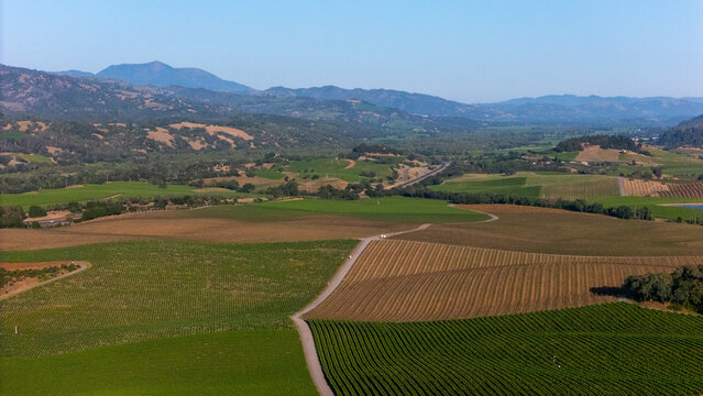 Napa, United States - 25 May 2026: Aerial view of the lush vineyards and rolling hills of Napa Valley under a clear blue sky with mountains in the distance.