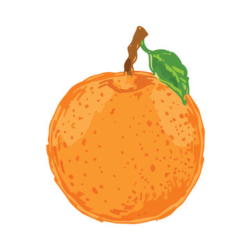 fresh citrus fruit, orange skin texture, natural food element