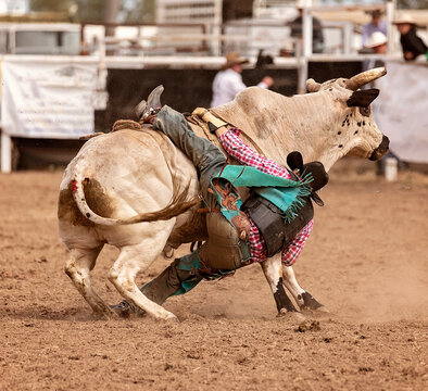 Rider Leaps Off Bucking Bull At Rodeo