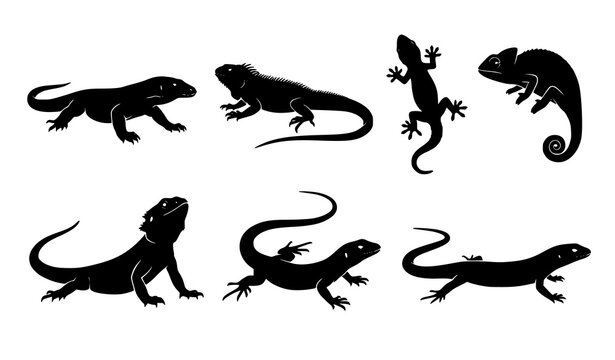 Seven Black Lizard Silhouettes Vector Collection with Realistic Reptile Poses Isolated on White Background