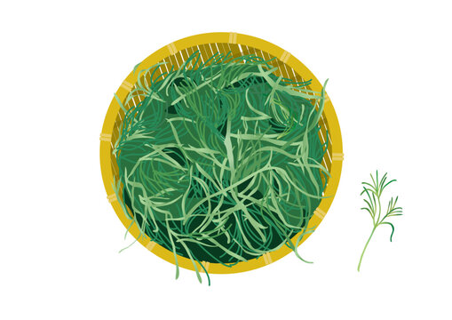 おかひじき 野菜 ざる ベクター イラスト