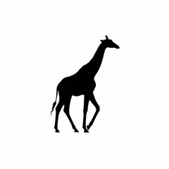 Fototapeta premium giraffe silhouette vector