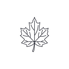 Fototapeta premium Maple Leaf Icon Outline Simple Line Art Vector