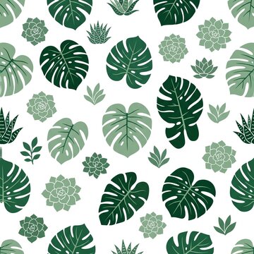 Tropical monstera leaves and succulent plants seamless pattern on a white background.
