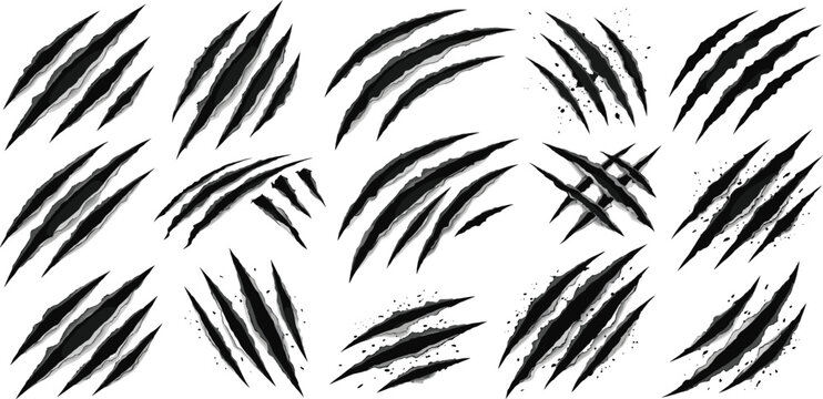 Dark beast claw slashes with ripped paper cuts, scary animal nail scratches, black monster tear marks for mystery horror Halloween vector design