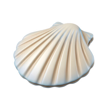 Realistic 3D render of a beige scallop shell on white background