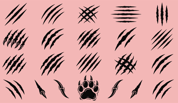 Animal claw scratch marks collection with bear paw print monster rips predator tears wild beast gashes and werewolf wounds vector illustration