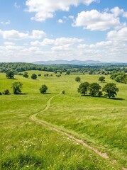 Obraz premium A picturesque landscape showcases a rolling green meadow dotted with trees and wildflowers, leading to distant hills under a bright blue sky filled with fluffy white clouds.