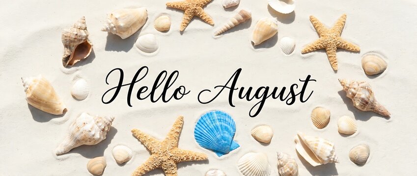 Hello august text on white sand surrounded by various seashells starfish and sand dollars.