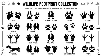 Fototapeta premium Animal footprint tracks identification set for wildlife enthusiasts