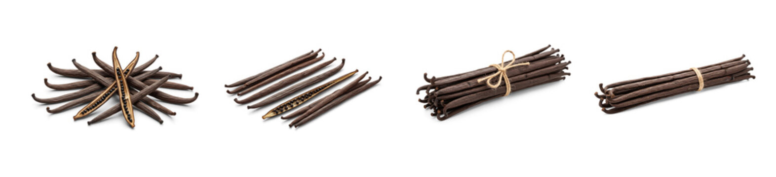 Collection of vanilla bean sticks are arranged on a transparent background. The sticks are bundled together with twine.