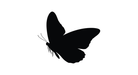 Black Butterfly Silhouette Against A White Background Minimalist Design © SAKINA