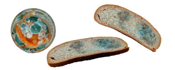 Spoiled bread slices and jar with green mold fungus growth on a transparent background © Oksana