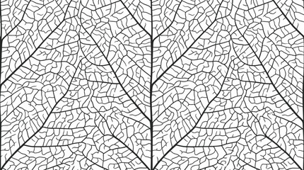 Obraz premium Intricate Leaf Vein Pattern, Natural Texture, Macro Detail, Black and White