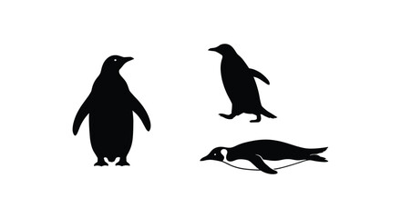 Obraz premium Penguin silhouettes in different poses including standing and swimming for arctic theme.