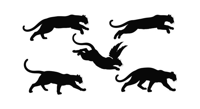 Panther silhouette collection showing jumping and running feline movements.
