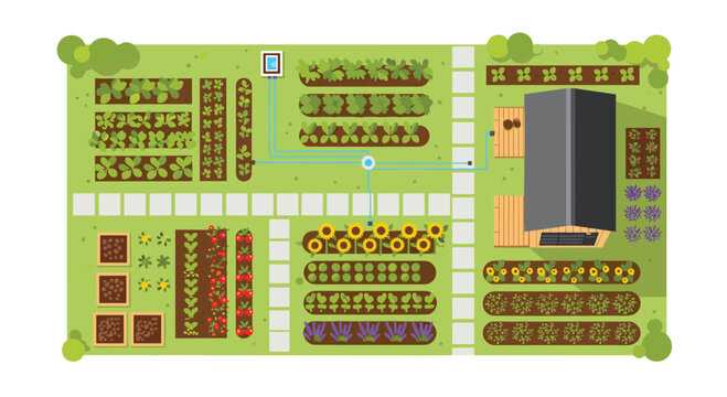 Garden irrigation system layout connecting a water tank to multiple crop beds and a house with solar panels on the roof in a suburban backyard setting.