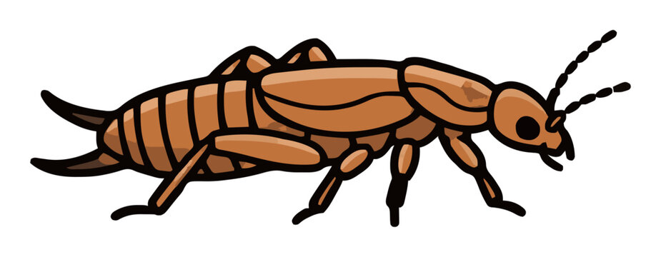 Earwig macro close-up flat vector illustration. Generative AI