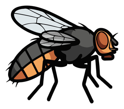 Housefly side view flat vector illustration. Generative AI