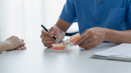 Fototapeta premium Dentist Examining Healthy Tooth Model While Consulting Patient