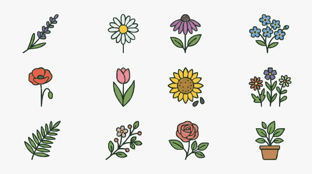 Illustrated Floral Botanical Line Art Collection.