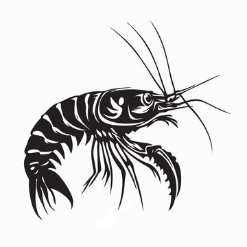 Mantis Shrimp Ocean Animal Vector Image On white Background