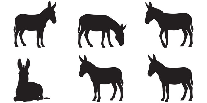 Donkey Vector Set in Different Poses Isolated Farm Animal Silhouette Collection