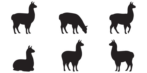 Llama Vector Set in Different Poses Isolated Farm Animal Silhouette Collection © maxsabbir07