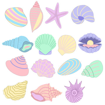 Doodle shell image