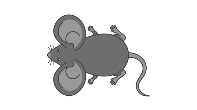 Cute gray mouse with large round ears viewed from above